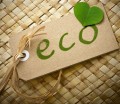Eco Friendly Catering - Packaging Direct