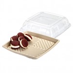 Small Square Pulp Platter​ with PET Lid - Packaging Direct